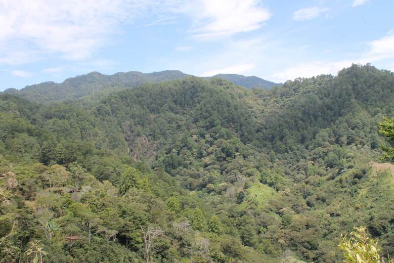 Cusuco National Park and the Meredón Reserve PIN